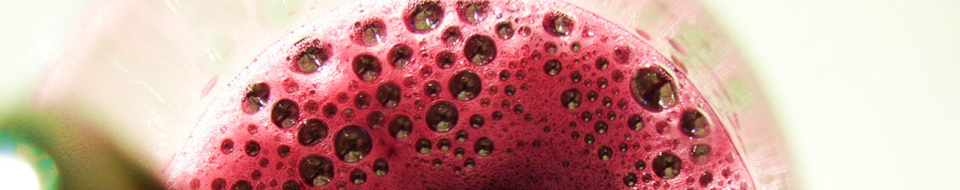 Lambrusco
