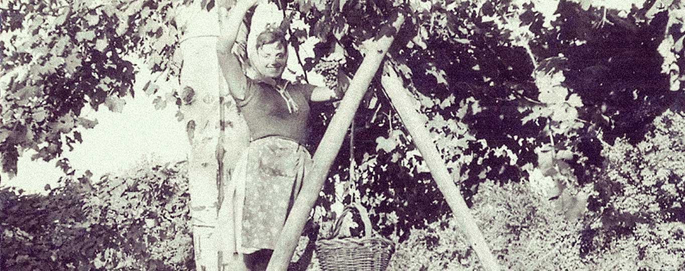storia_anni50