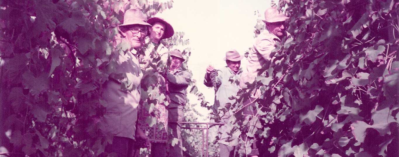 storia_anni60